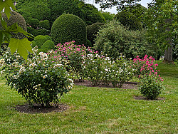 Provincie Antwerpen - Handel in vaste planten op toplocatie