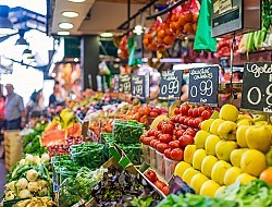 Pittem - Bedrijf ter verwerking en conservering van groenten/fruit