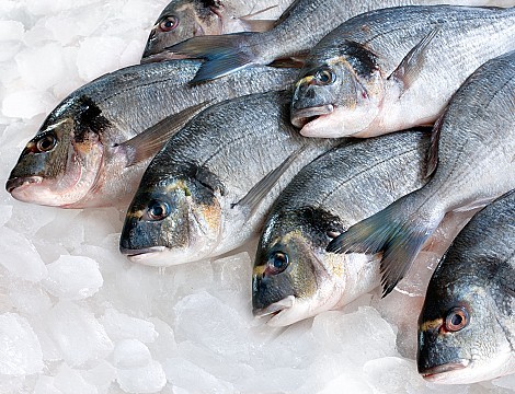 West-Vlaanderen - Visgroothandel en Verwerkingsbedrijf over te nemen