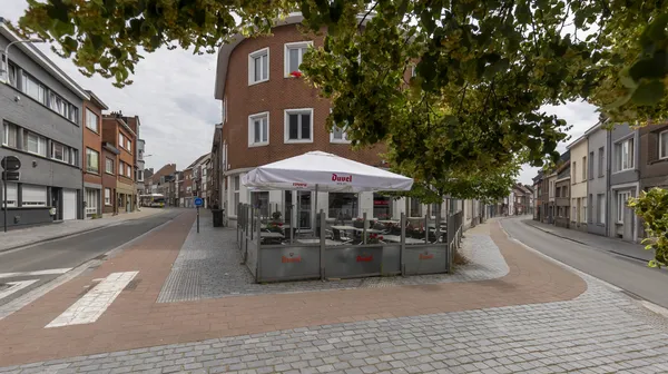 Lr kapelstraat 1 2850 boom 001