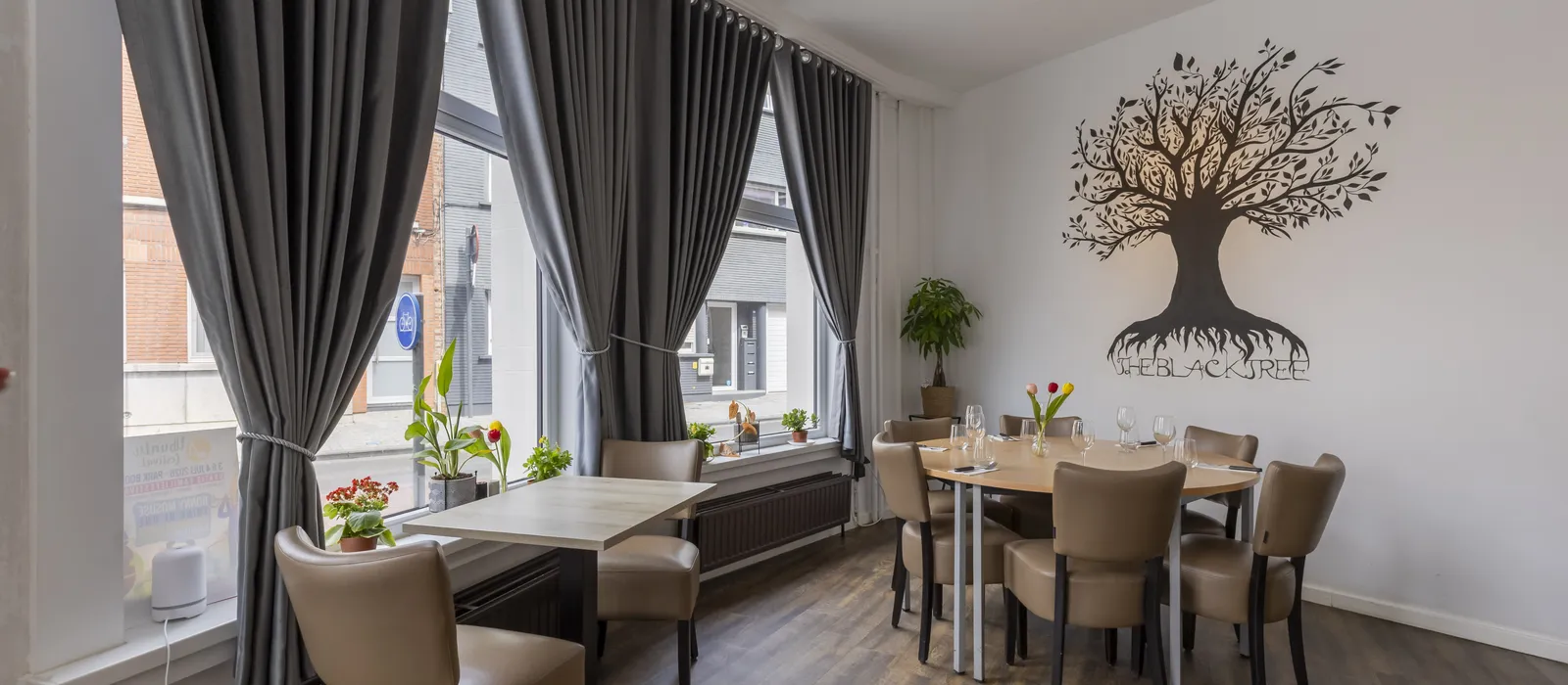 Lr kapelstraat 1 2850 boom 004